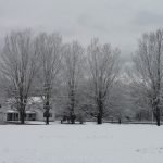 chasehouse 5